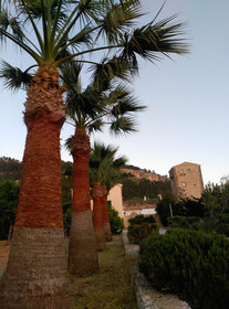 Finca Son Esteve