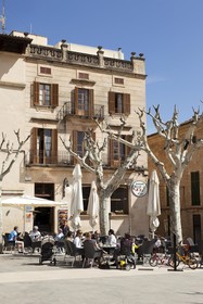 Hotel Juma Pollensa