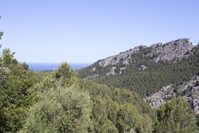 Villa Es Coco Soller