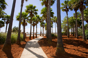 Hipotels Mediterráneo Club