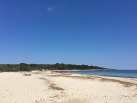 Playsol