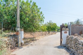 Finca Son Baulo