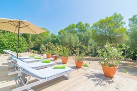 Finca Son Baulo