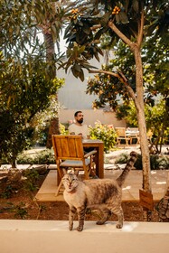 Hotel Boutique Can Pocovi