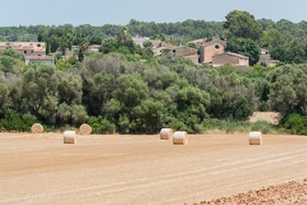 Petit Hotel Rural Son Jordà - Hotel Rural Restaurant