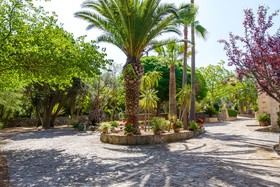 Villa Es Pinar