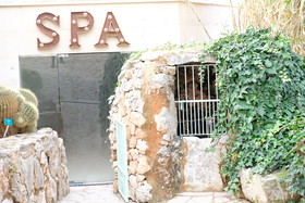 Finca Hotel Rural Es Turó