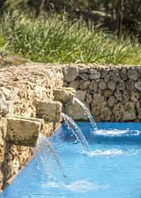 Finca Ses Curtanetes