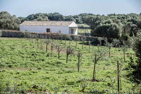 Santa Ponsa Fontenille Menorca