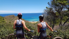Artiem Audax