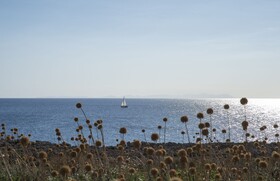 Pierre Vacances Apartamentos Menorca Cala Blanes