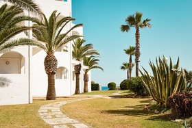 Caramelo Marina Cala'n Bosch