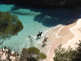 Rural Morvedra Nou