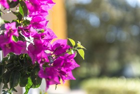 Agroturismo Ca Na Xini