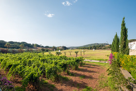 Agroturismo Ca Na Xini