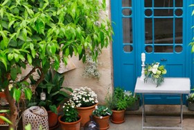 Jardí De Ses Bruixes