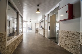 Royal Life apartamentos toristicos