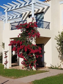 Bimbolla Apartaments