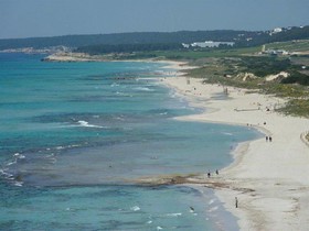 Son Bou Playa Gold