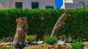 Apartamento Vacacional Elizabeth