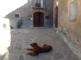Casa Vilaspasa