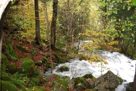 Pension Casa Vicenta