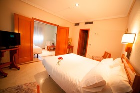 Hotel Castilla