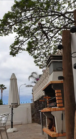 Casa Domvs
