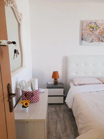 Casa Domvs