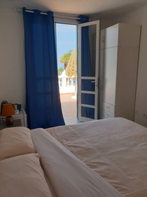 Casa Domvs