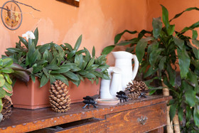 Finca La Casita