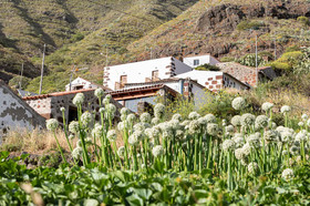 Home2Book Nature Carrizales and Masca House & Wifi