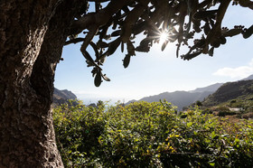 Home2Book Nature Carrizales and Masca House & Wifi