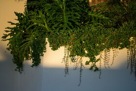 Hotel Estefanía Boutique Suites