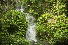 ADRIAN Hoteles Jardines de Nivaria