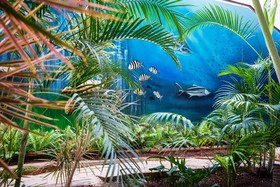 HOVIMA La Pinta Beachfront Family Hotel