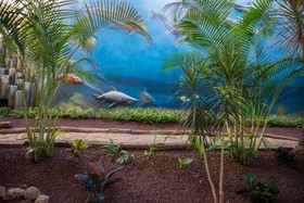 HOVIMA La Pinta Beachfront Family Hotel