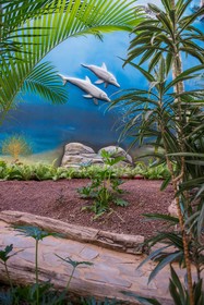 HOVIMA La Pinta Beachfront Family Hotel