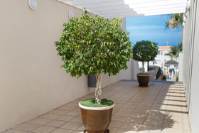 Los Olivos Beach Resort