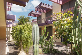 Hotel Palia Don Pedro