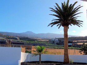 Finca La Hoya