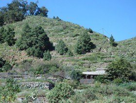 Finca Casa Blanca