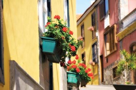 Rural Senderos de Abona