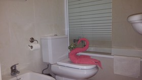 Apartamentos Estrella del Norte