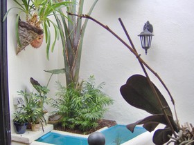 Apartamentos Monasterio de San Antonio