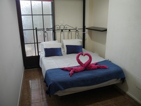 Drago Nest Hostel