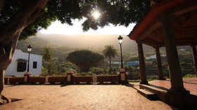 Drago Nest Hostel
