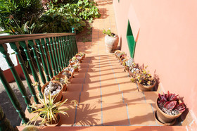 Home2Book Luxury Villa Luna de Tacoronte Pool