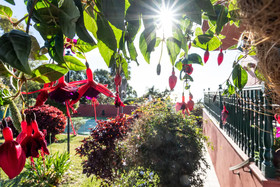 Home2Book Luxury Villa Luna de Tacoronte Pool