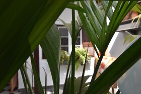 Gato Azul Coliving